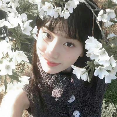 白鹭