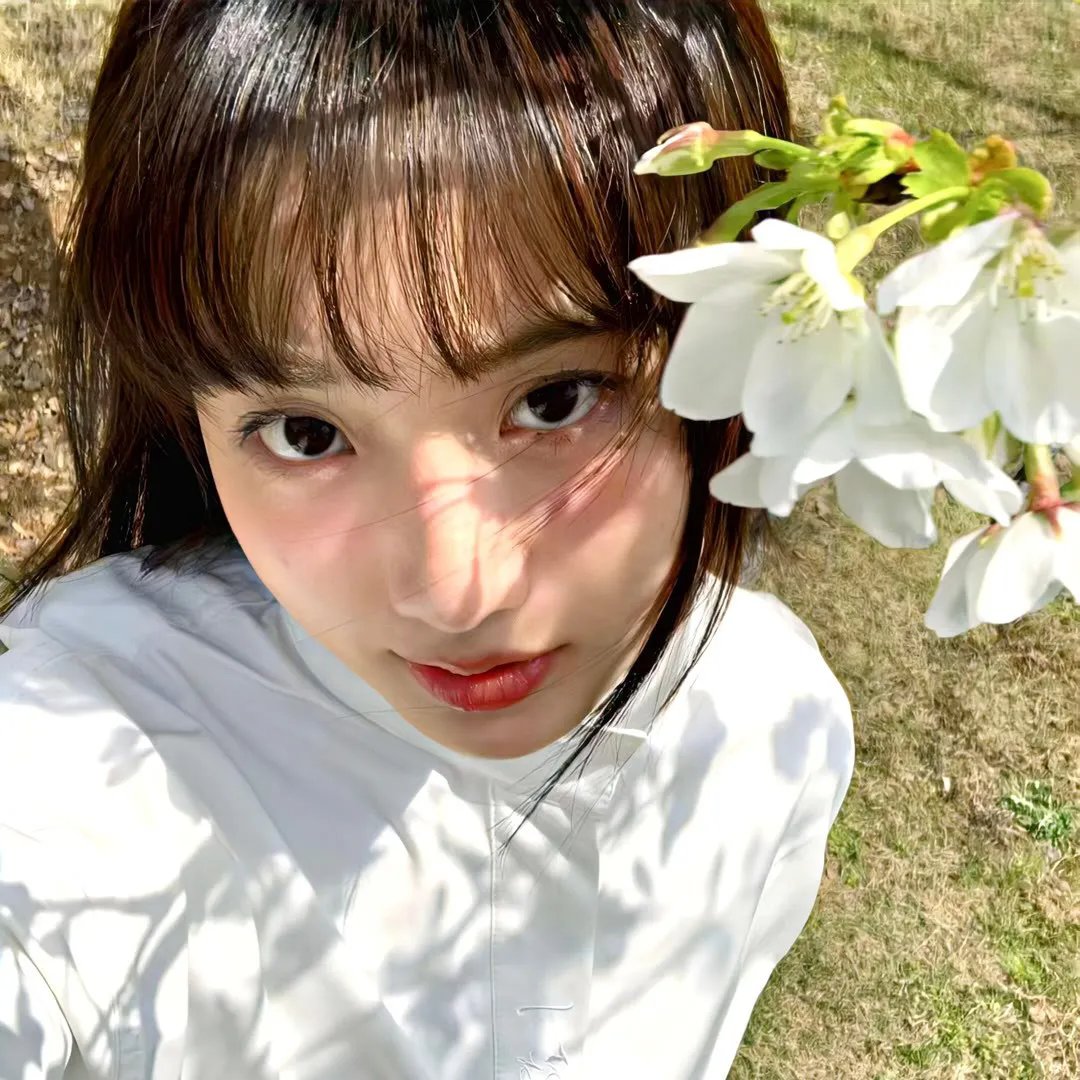女黑侠木兰花粤语
